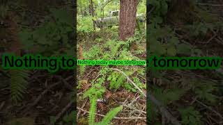 #prednisone #chronicpain #autoimmunedisease #shorts #nature #foraging