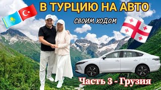картинка: Дорога в Турцию, на машине через Грузию. 