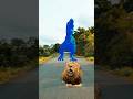 big dinosaur Chase t rex chasing part 4 #shorts #dinosaur #youtubeshorts #youtube #funny