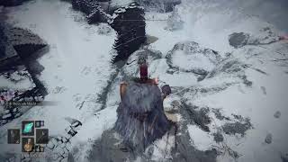 #Elden Ring|Shadow of The erdtree NG+5