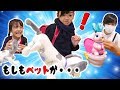 もしもペットが・・・ロボットだったら・・・?