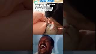 MUJAIR MILIH-MILIH‼️ #funny #shortvideo