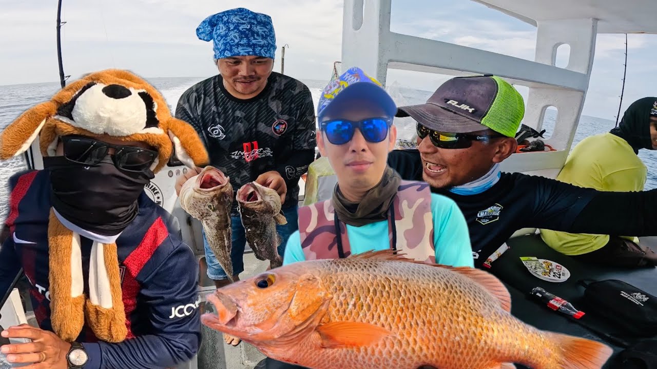 Jarang-Jarang Ikan Layaran Makan Umpan Bottom// Strike Berkali-Kali Hanya Guna Umpan Yang Sama