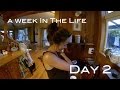 bushman living in new zealand with Josh James - a day in the life VLog