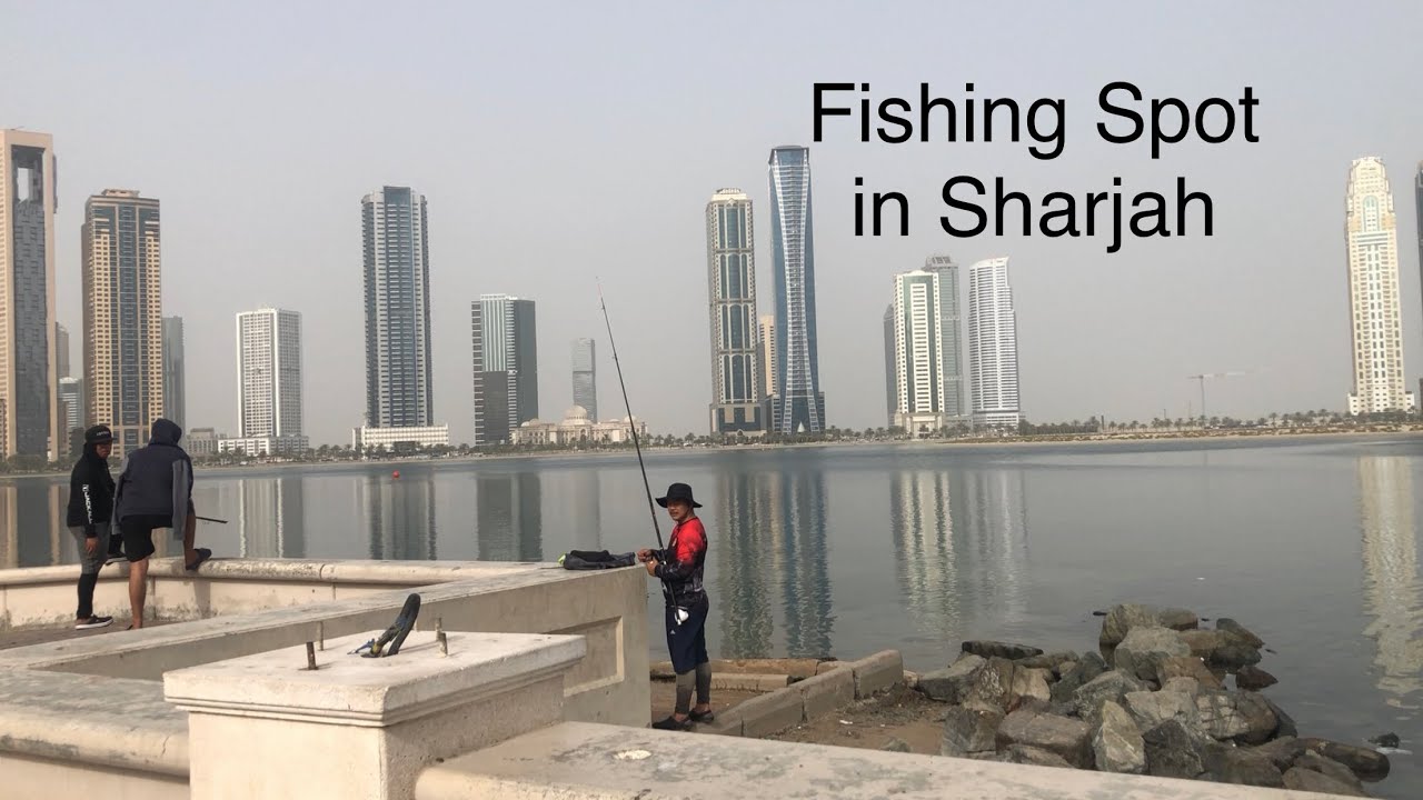 Sharjah Fishing 🎣 Spot YouTube