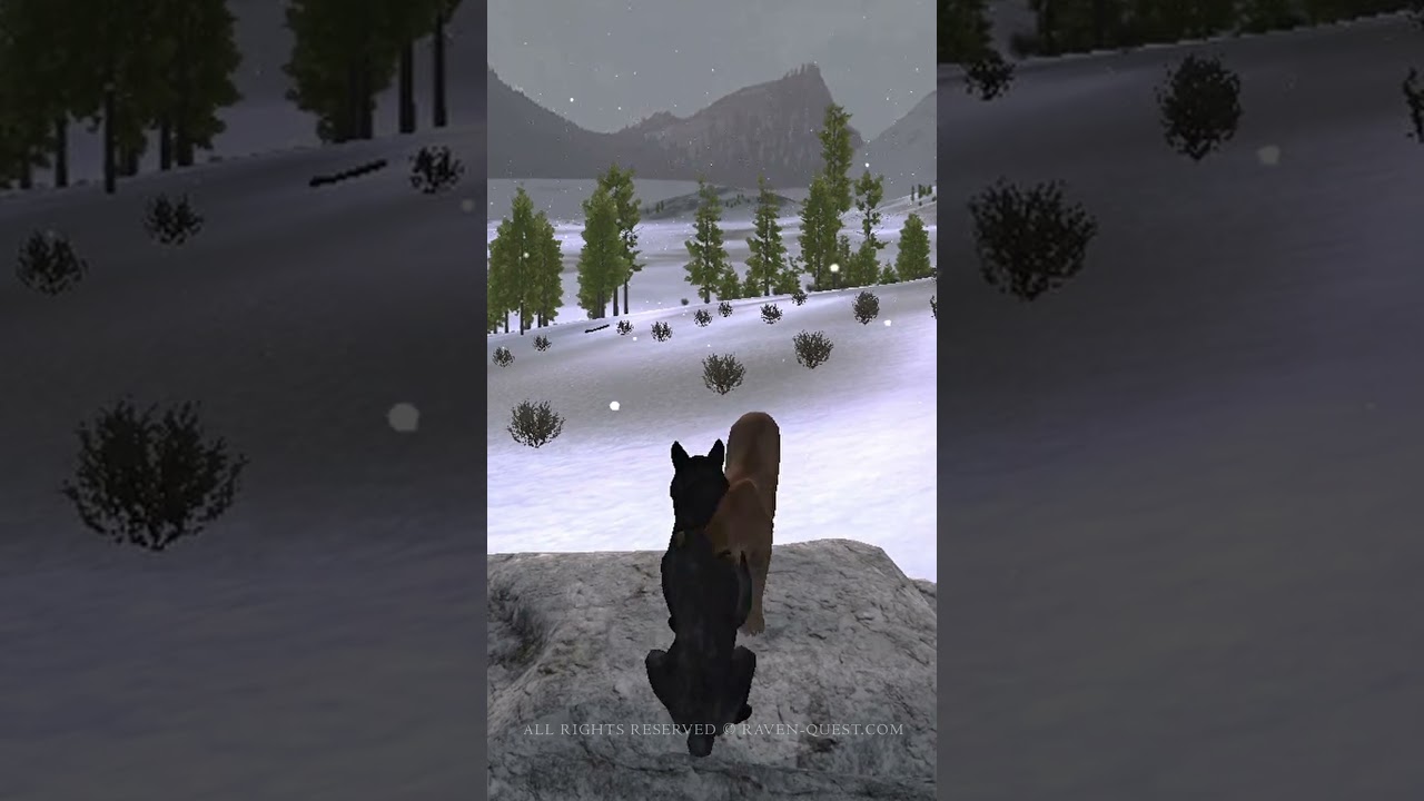 How To Get On All The Cougar Rocks in 5 Sec Or Less!!! #ravenquest #wolfquest #wolfquestglitch