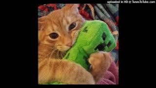 Doodle X Touch - Zachz Winner, KATSEYE mashup