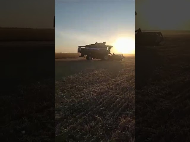 Балтаси, неполная занятость
