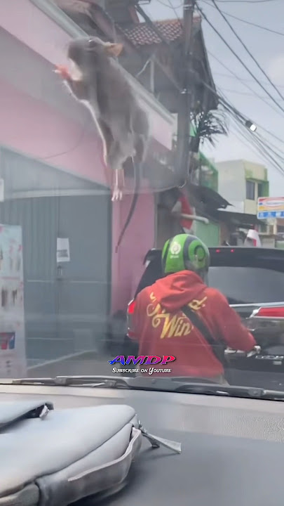 Woi Sopo Kuwi #lucu #ngakak #komedi #funny #kocak #eripras #feedshorts #viralshort