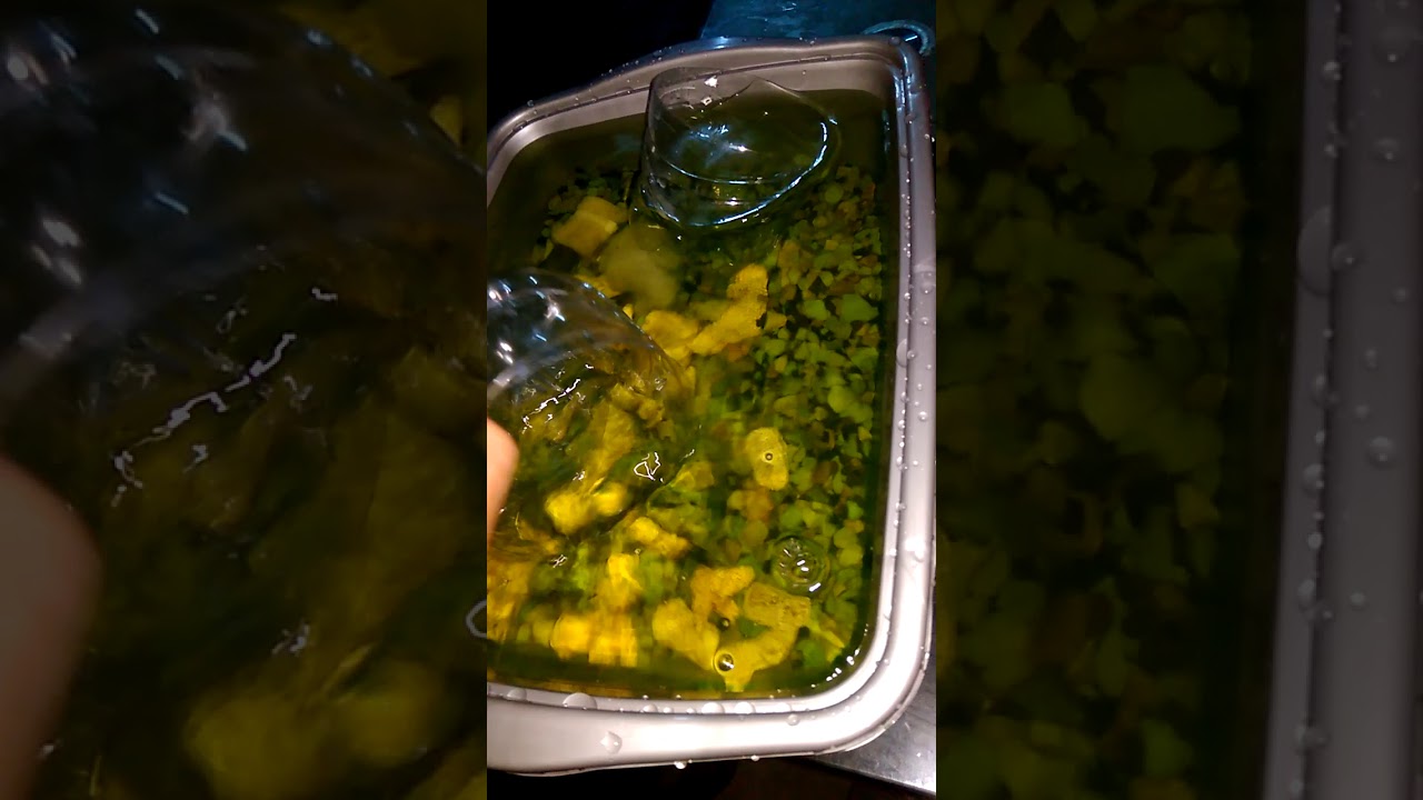 Pencucian media filter yg habis digunakan dgn obat ajaib pengusir bakteri membandel