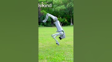 $1600 Unitree Go2 is RUGGED! #ai #robotics #automation