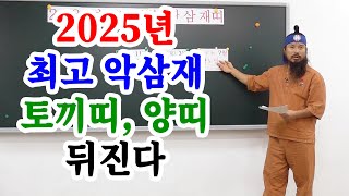 [유교약사생불사 1537강] 2025년 최고 악삼재 토끼띠, 양띠 뒤진다.