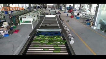 JC SORT Cucumber Size Sorting Machine
