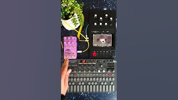 From Bloom to Shadow | Sonicware Liven Evoke + Tape Loop + MOOD MKII