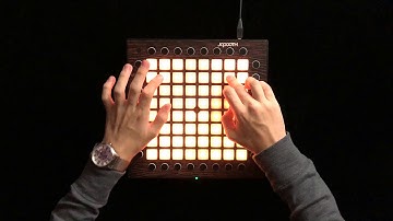 Teminite - State of Mind // Launchpad Pro performance // Japooth