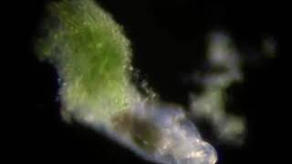 Its a #TardiRave!