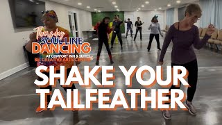 Shake Your Tailfeather Line Dance (Meechie) | BCAC