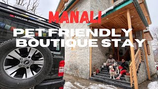 Pet friendly boutique stay in Manali | Local dogs se hua saamna