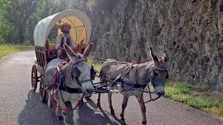 Il voyage comme au 19ème siècle