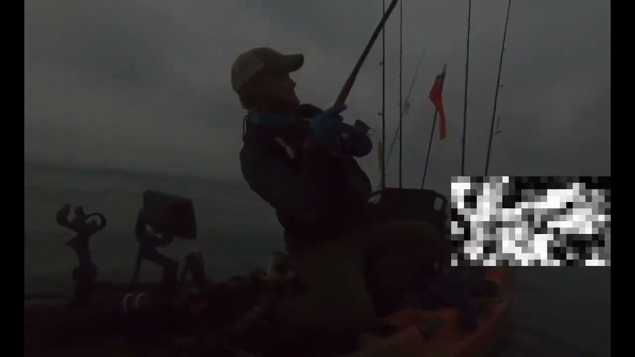 Cast To Catch, Fishing our 13.5 GT Eel YouTube