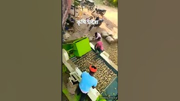यूट्यूब चैनल पर आलू की पैकिंग और ग्रेडिंग की प्रक्रिया।(Potato Packing and Grading )