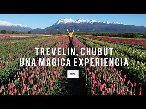 La magia de Trevelin en Chubut | 4 días inolvidables en 4 minutos