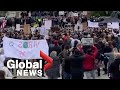 Coronavirus: Hundreds protest against UK government COVID-19 restrictions