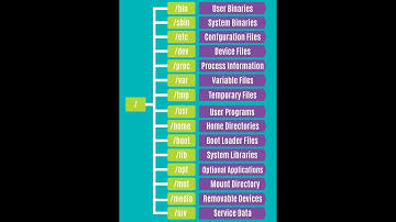 Основы работы с терминалом Linux. Часть 1 | sh, bash, zsh & fish...