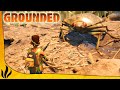 ON AFFRONTE LES PUNAISES ET COLÉOPTÈRES BOMBARDIERS ! (Grounded #5)