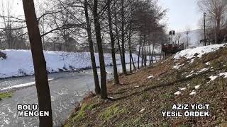 Aziz Yiğit & Yeşil Ördek Gibi Daldım Göllere