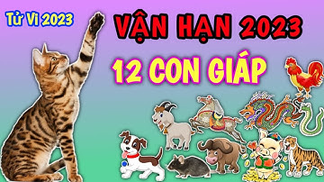 Vận Hạn 2023 của 12 Con Giáp #tý #sửu #dần #mão #thìn #tị #ngọ #tị #mùi #thân #dậu #tuất #hợi
