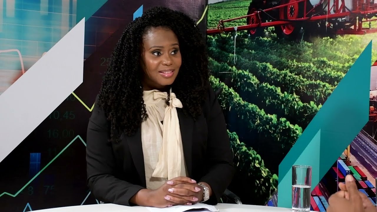 RENMOZ 2025: Moçambique Aposta Forte nas Energias Renováveis - Epifania Gove