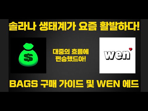   솔라나 생태계 Bags OG NFT 구매 및 Wen 에어드랍 클레임 Dmail 중간 점검