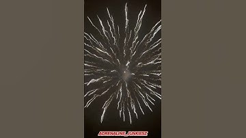 6 Inch Brocade Crown van Triplex! #triplex #shell #vuurwerk #fireworks #pyro