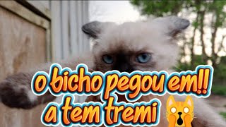 Voltei Ao Youtube Limpando A Casa E Me Surpreendendo Com O Temporal