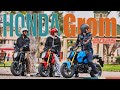 Meet the new 2025 honda grom the king of minimoto is back
