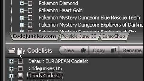 how to use ar Dsi code manager