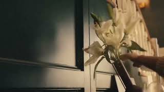 HGTV Home by Sherwin Williams