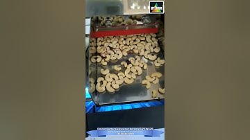 Advanced Size Sorting for W420 Cashewnut Kernels