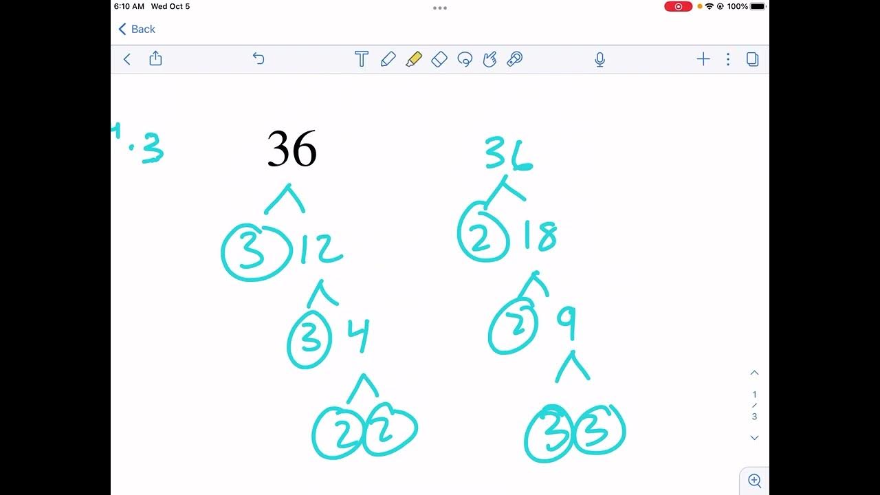 MathDrills Prime Factor Trees (4 to 48) YouTube