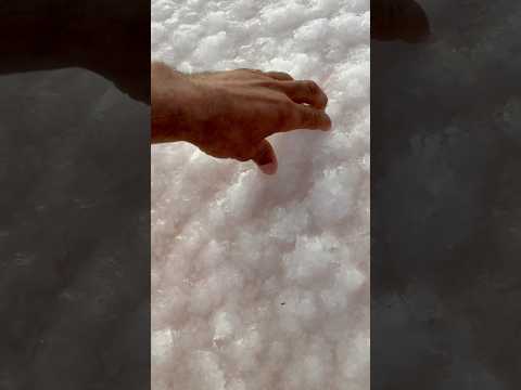 الخير اللهم بارك الكذوب لا اكسبلور