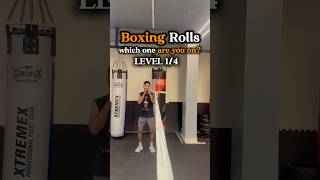 Boxing Rolls: Level 1 to 4! Which one are you? 🥊 #shorts #boxing #mma