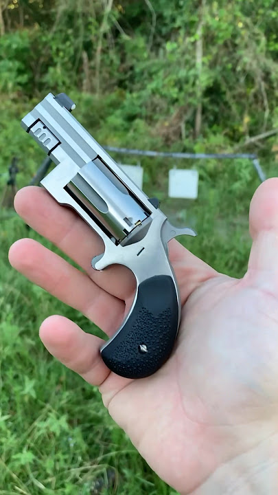 Sentinel .22 Magnum