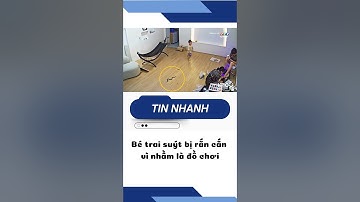 Bé trai suýt bị rắn cắn vì nhầm là đồ chơi