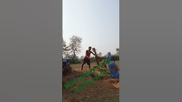 #paddy straw loading#viral#viralvideo #whatsappstatus#viralshorts #jabardast video#videofrom ntpcucr