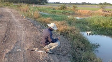 câu cá sông ngày nghỉ lễ Quốc Khánh.