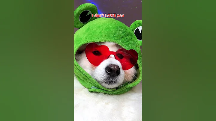 Send this to that one person 👑 #dogsofinstagram #funny #tiktok #cute #puppy ib:pepelefuqyou