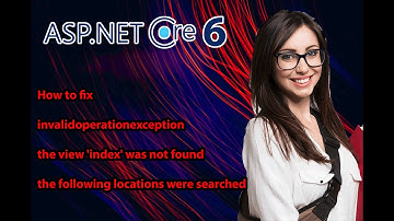 invalidoperationexception the view 