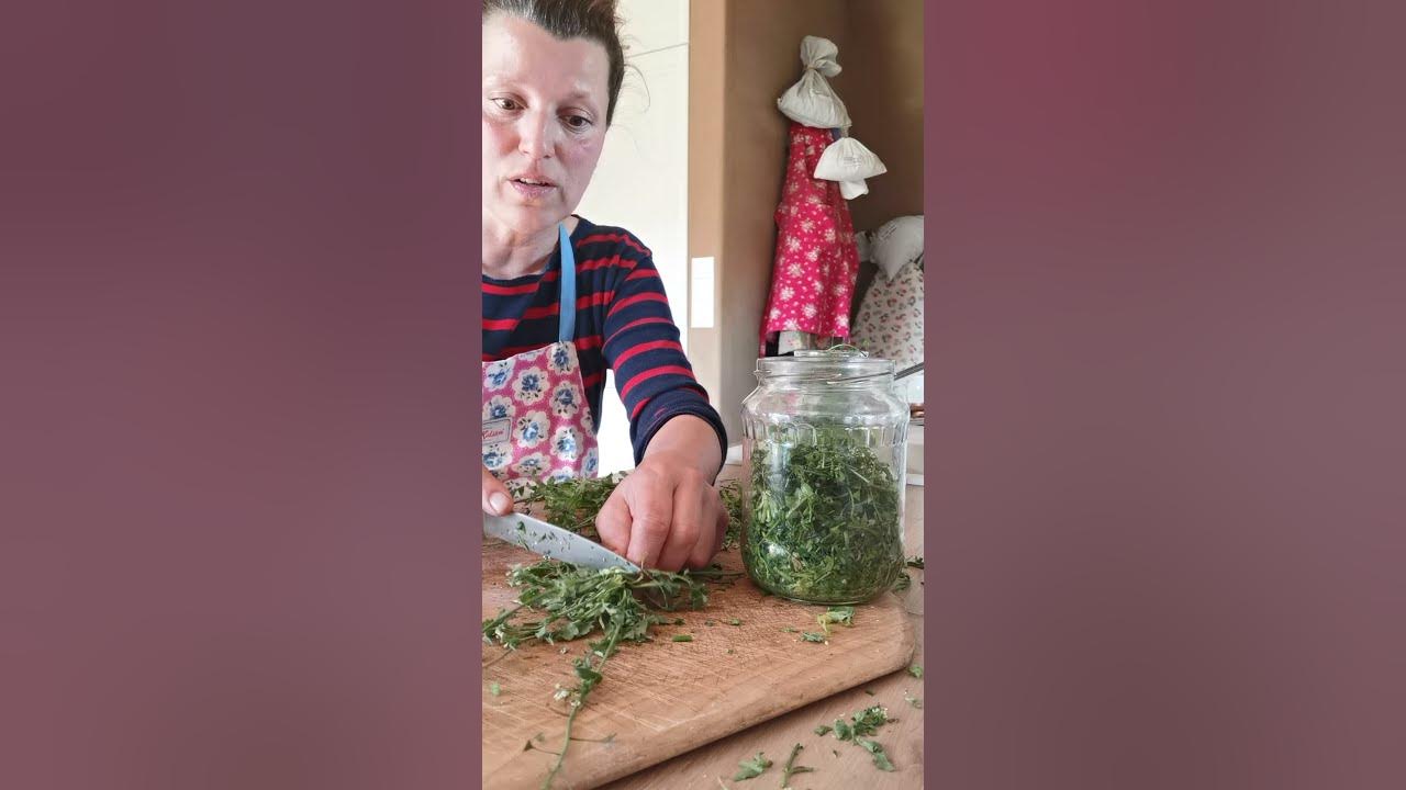 What is good for prolapses, internal bleeding, muscle atrophy (Shepherd