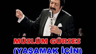 MÜSLÜM GÜRSES (YAŞAMAK İÇİN) Resimi